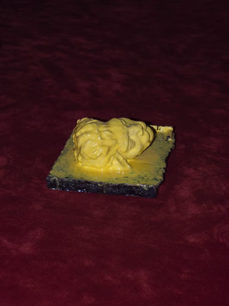 Feast 14 &mdash; Olaf Brzeski