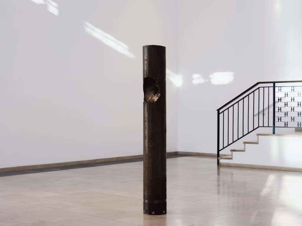 Feast 28 &mdash; Olaf Brzeski